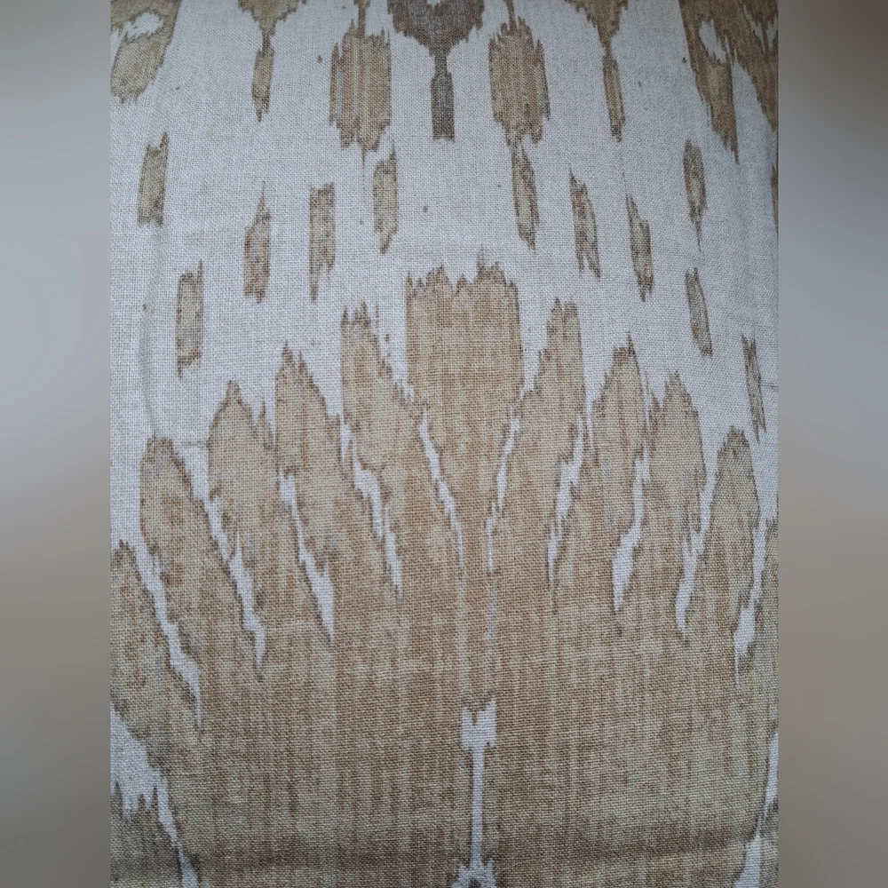 Pottery Barn Vivian Ikat Pillow Shams (2) Standard